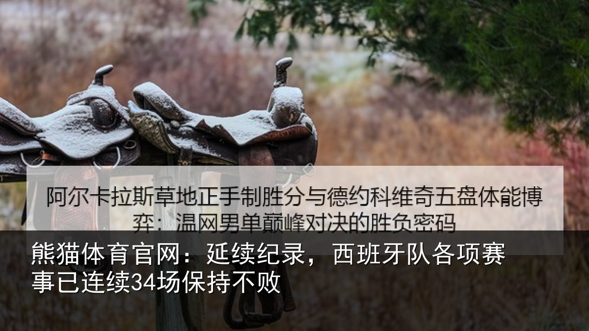 熊猫体育官网：延续相关情况赛事相关情况