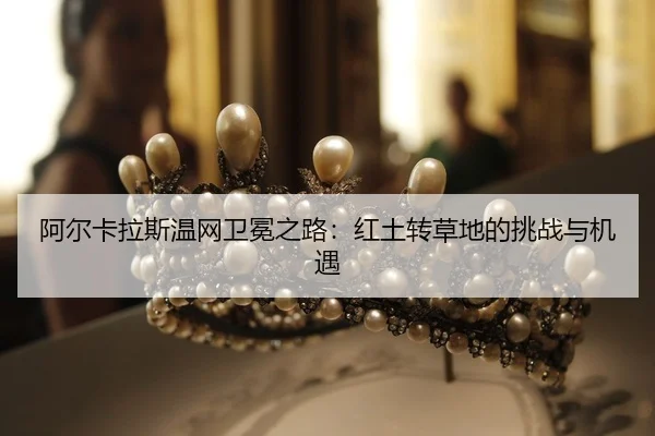 a-er-ka-la-si-wen-wang-wei-mian-zhi-lu-hong-tu-zhuan-cao-di-de-tiao-zhan-yu-ji-yu-2-238.jpg