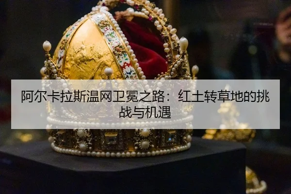 a-er-ka-la-si-wen-wang-wei-mian-zhi-lu-hong-tu-zhuan-cao-di-de-tiao-zhan-yu-ji-yu-3-155.jpg