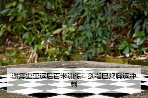 谢震业亚运后百米训练：剑指巴黎奥运冲刺